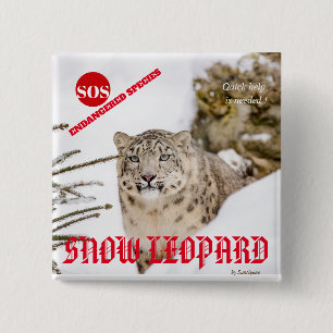 Bóton Quadrado 5.08cm Snow Lepard