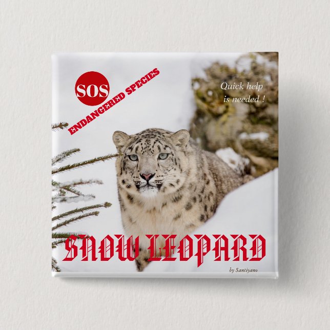 Bóton Quadrado 5.08cm Snow Lepard (Frente)