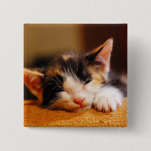 Bóton Quadrado 5.08cm Sono pequeno do gatinho