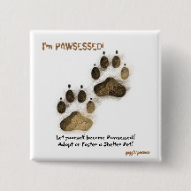 Sou Pawscessor!