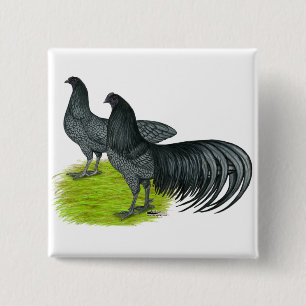 Bóton Quadrado 5.08cm Sumatra:  Par azul