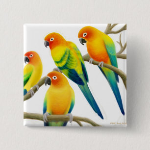 Bóton Quadrado 5.08cm Sun Conure repete mecanicamente o Pin