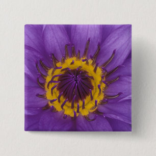 Bóton Quadrado 5.08cm Tailândia, Banguecoque, Lótus roxo e amarelo