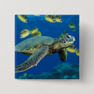 Bóton Quadrado 5.08cm Tartaruga do Mar Verde