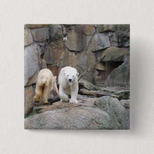 Bóton Quadrado 5.08cm Tecla POLAR BEAR