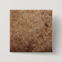 Terra seca