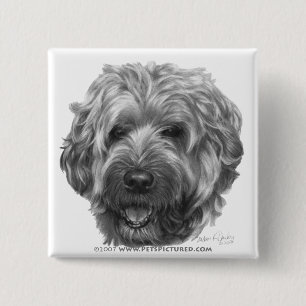 Bóton Quadrado 5.08cm Terrier Wheaten Macio-Revestido