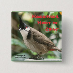 Bóton Quadrado 5.08cm Teste Bulbuls Vermelhos-Whiskered por RoseWrites