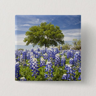 Bóton Quadrado 5.08cm Texas bluebonnets(lupinus texensis) e carvalho
