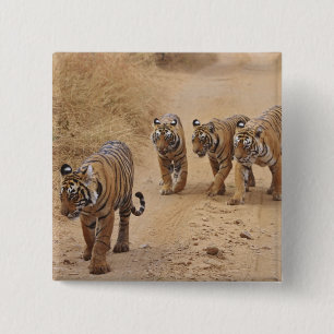 Bóton Quadrado 5.08cm Tigres de Bengala