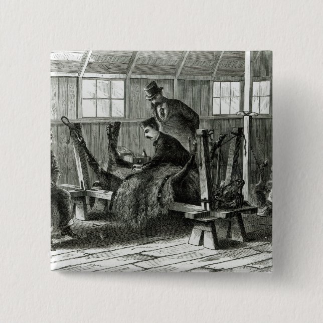 Bóton Quadrado 5.08cm Tomando o vírus da vitela (Frente)