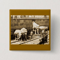 Trem do elefante de Ringling Bros da corrediça de