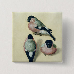 Bóton Quadrado 5.08cm Três estudos de um bullfinch