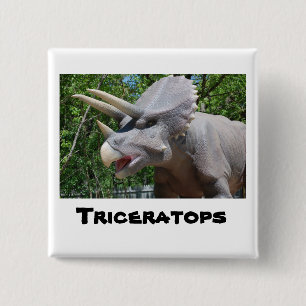 Bóton Quadrado 5.08cm Tricerátops Dinossauros