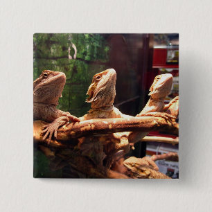 Bóton Quadrado 5.08cm Trio de Leezard