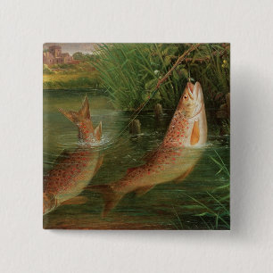 Bóton Quadrado 5.08cm Truta em Winchester