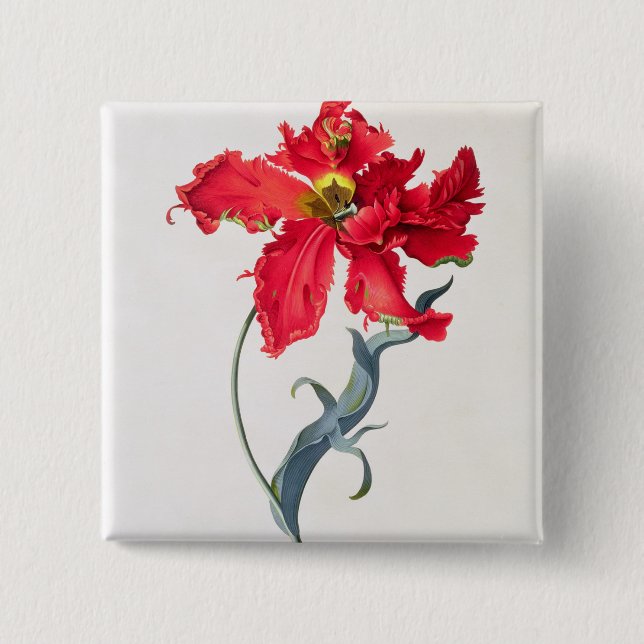 Bóton Quadrado 5.08cm Tulipa: Vermelho de Perroquet (Frente)