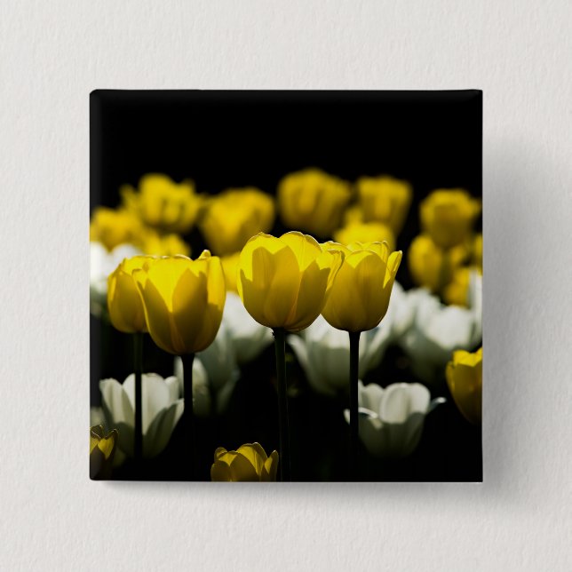 Bóton Quadrado 5.08cm Tulipas Amarelo E Branco (Frente)