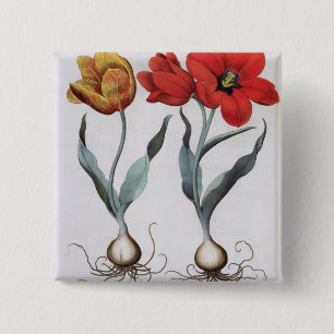 Bóton Quadrado 5.08cm Tulipas: colore do cinnabrio do serotina do