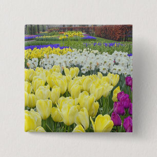 Bóton Quadrado 5.08cm Tulipas, narcisos e flores de Jacinto de Uva,