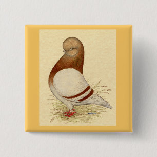 Bóton Quadrado 5.08cm Tumbler Pigeon:  LFCL Mealy