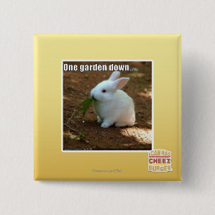 Bóton Quadrado 5.08cm Um jardim Down�