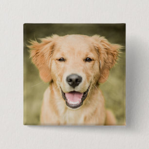 Bóton Quadrado 5.08cm Um retrato de um filhote de cachorro do golden