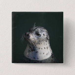 Bóton Quadrado 5.08cm Um selo de porto