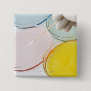 Bóton Quadrado 5.08cm Uma amostra gloved plástica da mão do petrie