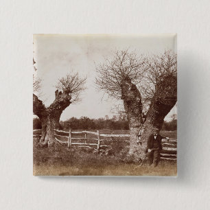 Bóton Quadrado 5.08cm Uma árvore do Hedgerow, 1852 (impressão do album
