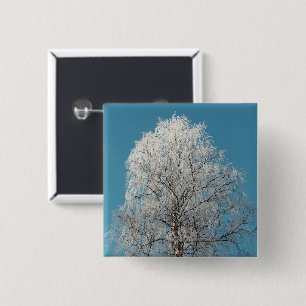 Bóton Quadrado 5.08cm Uma Árvore Selvagem Branca Contra Céu Azul Sem Nuv