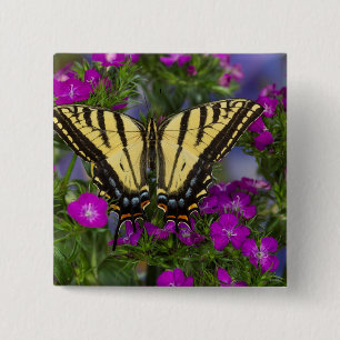 Bóton Quadrado 5.08cm Uma Borboleta Viceroy em Flores Rosa Escuro