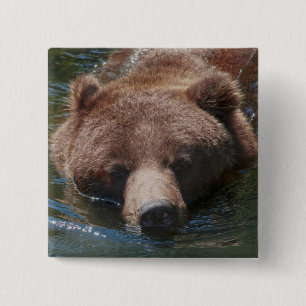 Bóton Quadrado 5.08cm Urso Cinzento