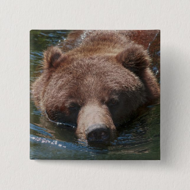 Bóton Quadrado 5.08cm Urso Cinzento (Frente)