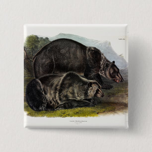 Bóton Quadrado 5.08cm Urso Grizzly (Urso Marrom Norte-Americano) - Audub