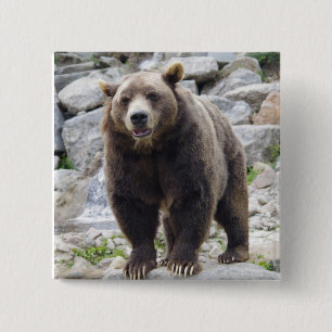Bóton Quadrado 5.08cm Urso Kodiak