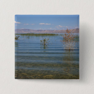 Bóton Quadrado 5.08cm UT, Bear Lake