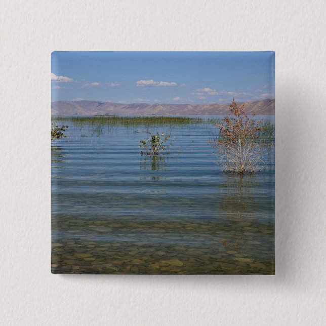 Bóton Quadrado 5.08cm UT, Bear Lake (Frente)