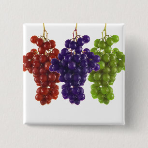 Bóton Quadrado 5.08cm Uvas Vermelhas e Roxas