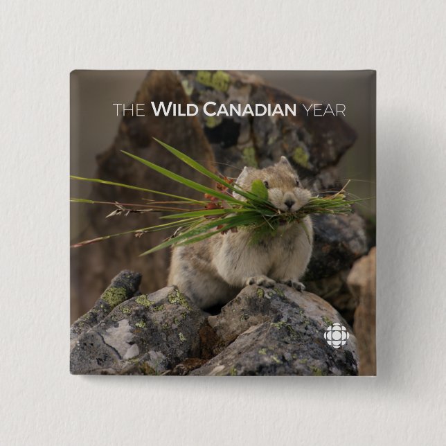 Bóton Quadrado 5.08cm Verão - América Latina (Frente)