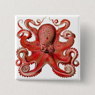 Bóton Quadrado 5.08cm Vermelho Octopus Haeckel