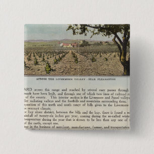 Bóton Quadrado 5.08cm Verso Alameda