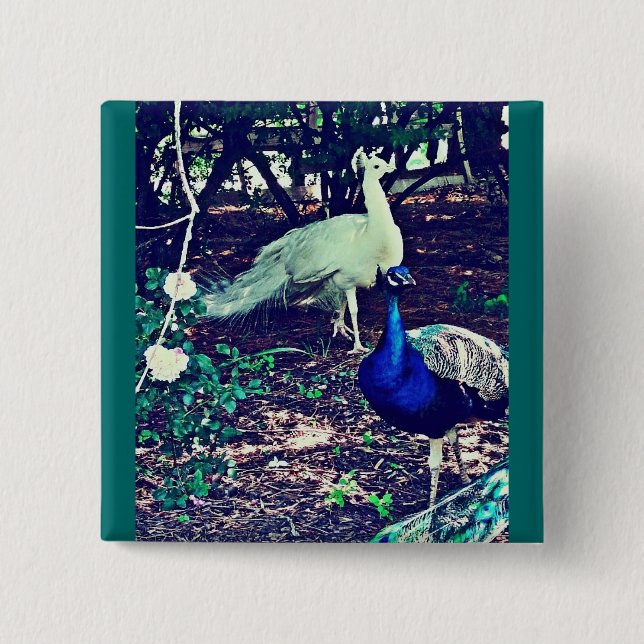 Bóton Quadrado 5.08cm Vintage Peacocks (Frente)