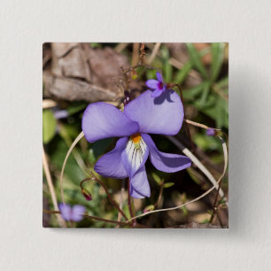 Bóton Quadrado 5.08cm Violeta de Pássaros com Bluets