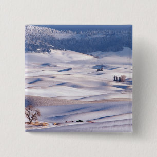 Bóton Quadrado 5.08cm Vista de Steptoe Butte de colinas onduladas cobert