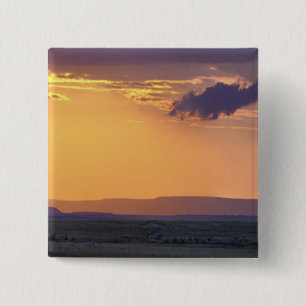 Bóton Quadrado 5.08cm Vista panorâmica de uma única árvore acácia em