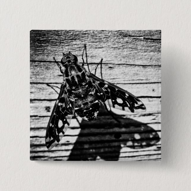 Bóton Quadrado 5.08cm volta (Frente)