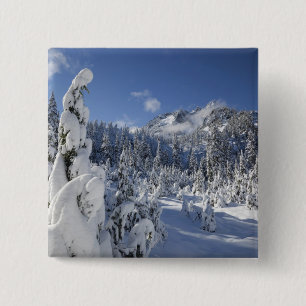 Bóton Quadrado 5.08cm WA, Alpine Lagos Wilderness, bacia do Lago de Neve