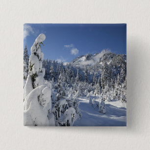 Bóton Quadrado 5.08cm WA, Alpine Lagos Wilderness, bacia do Lago de Neve