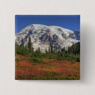 Bóton Quadrado 5.08cm WA, Parque Nacional Mt. Rainier, Vale do Paraíso
